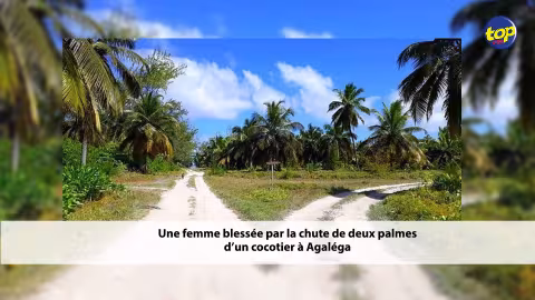 Une femme blessée par la chute de deux palmes d’un cocotier à Agaléga, sur son lieu de travail: Le Dornier a quitté l’aéroport ce matin, selon l’inspecteur Coothen