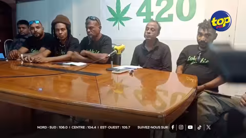 Légalisation du cannabis : le Kolektif 420 met en avant ses retombées sociales et économiques