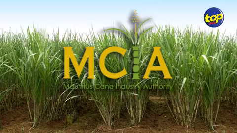 Mauritius Cane Industry Authority : Un poste créé pour l’épouse d’un ponte de la fonction publique ?