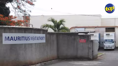 Mauritius Meat Authority Le quota concernant l’abatage des cabris dénoncés par les bouchers