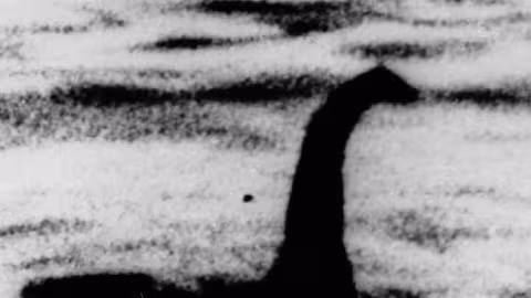 Baleine ou monstre du Loch Ness ? Une créature mystérieuse capturée en vidéo près d’Atlantic Beach Hier