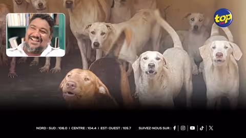 Vidéos accablantes sur la maltraitance animale en 2020 : Une enquête policière en cours… Les personnes citées par l'activiste Linley Moothien seront bientôt convoquées