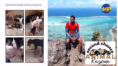 Capture des chiens errants dans certains endroits par la MSAW : ” Cela montre que rien ne changera au niveau de la MSAW “, s’indigne Sameer Golam