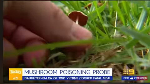 Elle empoisonne ses beaux-parents avec un repas de champignons toxiques