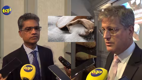Canne à sucre : Le Mauritius Sugar Syndicate constate une baisse au niveau de la production et de la compétitivité