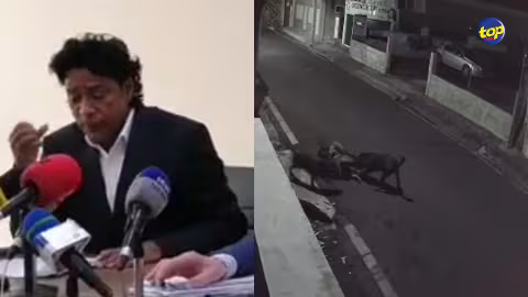 Un homme attaqué par deux rottweilers : « La loi est vague… il faudrait la revoir », affirme Nando Bodha
