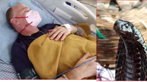 Covid-19 : un Anglais devient aveugle et paralytique après une morsure de cobra sur son lit d’hôpital