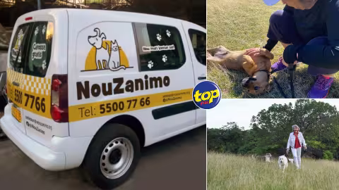 NouZanimo : Carrosse gratuit pour transporter vos animaux chez les vétérinaires