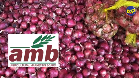Pour avoir diminué son quota d’oignons : un habitant de Camp Diable fait servir une mise en demeure à l’Agricultural Marketing Board