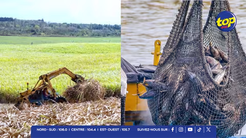 Réformes sucrières et lutte contre la pêche illicite : le ministre Arvin Boolell défend les intérêts de Maurice sur la scène internationale