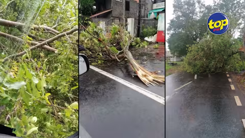 Post-Emnati: Maintenant que l’alerte cyclonique est levée, l’heure est au bilan