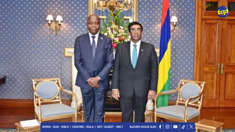 Diplomatie : Le président Roopun accueille le nouveau haut-commissaire tanzanien