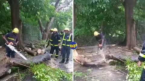 Cyclone tropical intense Freddy : 40 interventions des pompiers de 8 à 16 heures ce lundi…
