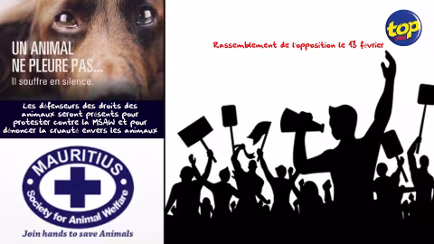 Rassemblement de l’opposition le 13 février : les défenseurs des droits des animaux seront présents pour protester contre la MSAW et pour dénoncer la cruauté envers les animaux