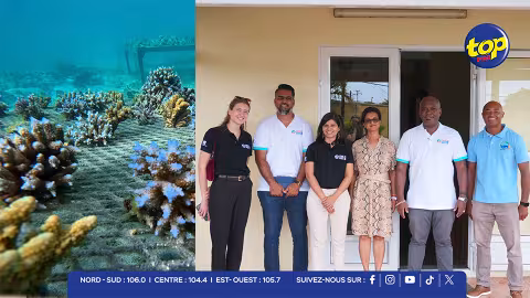 Face à la crise climatique : Rodrigues mise sur la réhabilitation de ses récifs coralliens