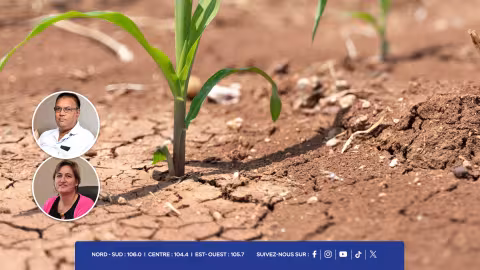 Baisses du niveau d’eau de nos réservoirs : « Les planteurs s’attendent à une période difficile », indique Krepalloo Sunghoon