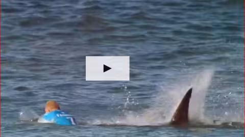 Un requin dévore une femme en eau peu profonde
