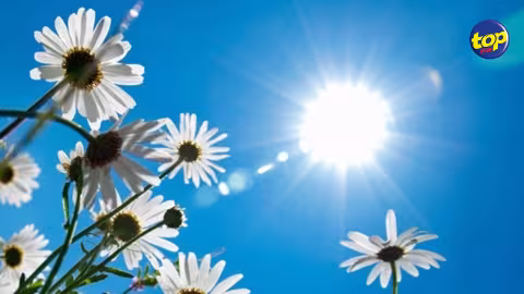 Après deux jours pluvieux : Certaines régions ont enregistré plus de 100 mm de pluies… Le soleil fait son retour ce mardi