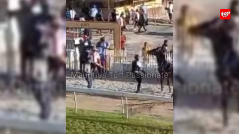 En circulation sur la toile : Une vidéo montre le cheval Special Force être maltraité, samedi dernier au Champ de Mars