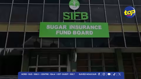 Bonne gouvernance : plusieurs lacunes relevées au Sugar Insurance Fund Board