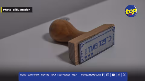 Tampon manche en bois brun