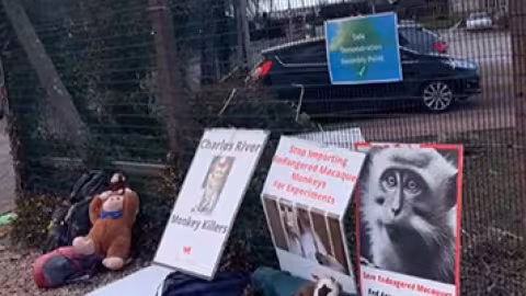 Manif pour les droits des animaux en Écosse