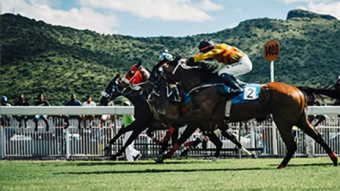 Hippisme : Global Equestrian Ltd annonce la cessation de ses activités