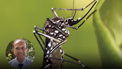 Chikungunya : deux nouveaux cas confirmés, dont un importé