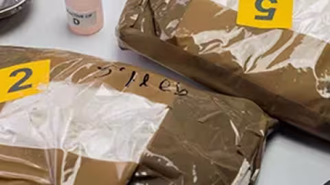 Trafic de drogue : plus de Rs 1,5 milliard de produits illicites saisis en 2024