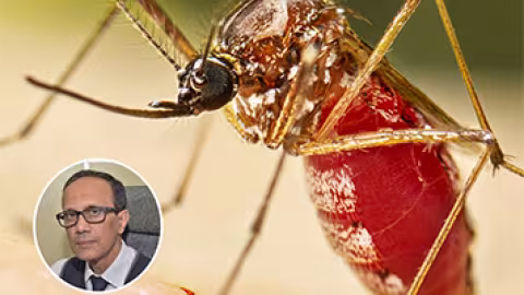 Chikungunya et Dengue : La maladie s’étend désormais à travers le pays