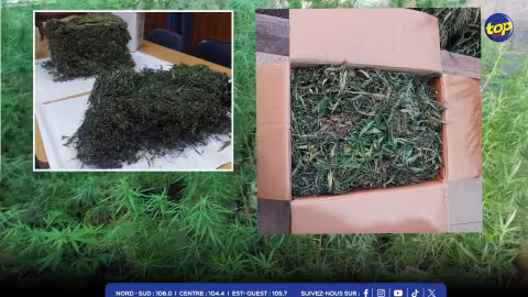 Drogue : deux grosses saisies dont une de 2,7 kilos de cannabis valant plus de Rs 14 million 