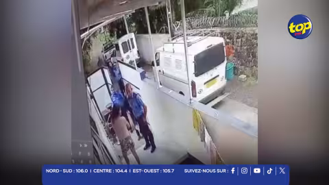 Trois chiens saisis à Surinam