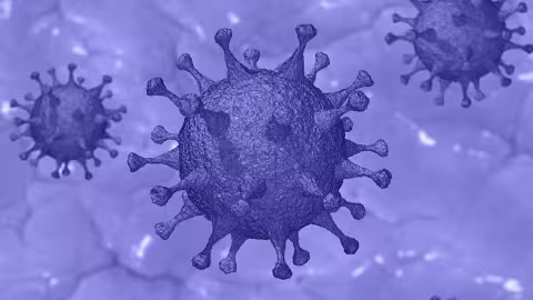 Des virus congelés depuis 50 mille ans provoquent la peur d’une pandémie mortelle