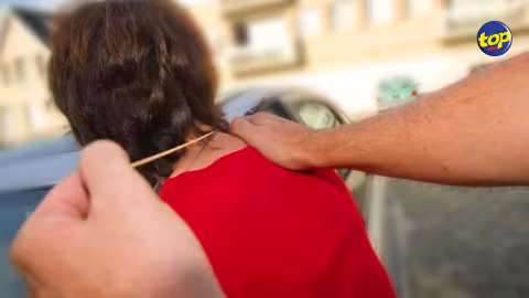 Vol à la tire à Plainte verte : la rectrice d’une école grièvement blessée