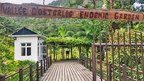 Vallée d’Osterlog : vers une délocalisation des activités