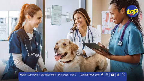 Veterinary Laboratories