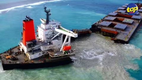 Naufrage du MV Wakashio : un Integrated Environmental Monitoring Program voit le jour