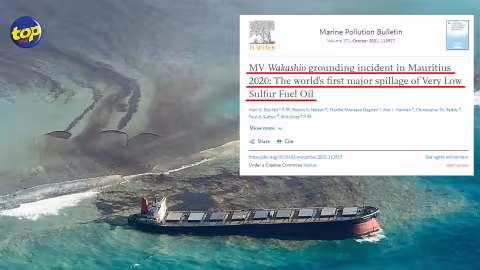 Naufrage du Wakashio : « Il s’agit du premier déversement majeur de fuel à très faible teneur en soufre au monde », selon une étude australienne