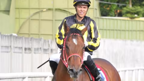 Hippisme : Walls of Dubrovnik ridiculise l’opposition et remporte la Coupe d’Or