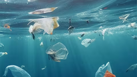 World Environement Day 2025 : Maurice renforce sa lutte contre la pollution plastique
