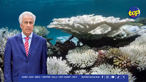 ‘Coral Bleaching’ : « Plus de 80 % de blanchissement sur certains sites et près de 50 % de mortalité corallienne », alerte Arvin Boolell