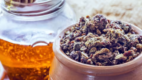 Les bienfaits de la propolis