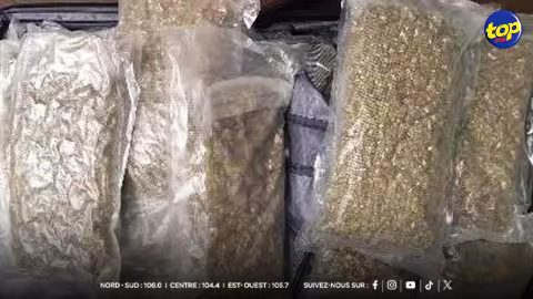 Saisie record de drogue à l’aéroport : Interception de Rs 252 millions de cannabis par la MRA et l’ADSU
