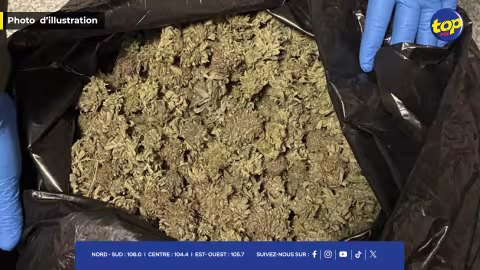 Trafic présumé de 155,7 kg de cannabis : Vikish Rutnee arrêté… Matériel de plongée, GoPro et téléphone saisis