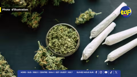 cannabis