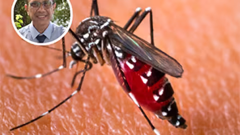 Double menace sanitaire : 25 cas de Chikungunya et 16 cas de dengue enregistrés