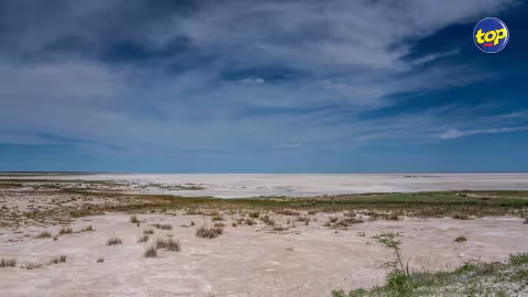 Étude d’Afrobarometer sur le changement climatique : 66% des sondés estiment que le gouvernement doit agir pour limiter ce phénomène même si cela coûte cher