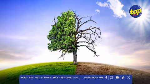 changement climatique