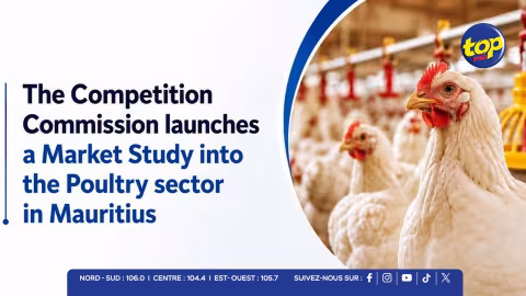 Hausse des prix du poulet et des œufs : la Competition Commission scrute le fonctionnement du marché avicole