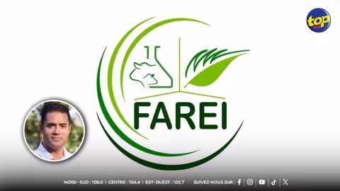 Algues envahissantes : le FAREI mise sur le compostage pour un littoral durable
